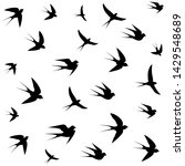 birds soaring high in the sky... | Shutterstock .eps vector #1429548689