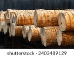 Small photo of Trunks at a sawmill. Sawmill for the treatment and processing of wood. Heavy industry.