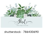 Floral Background With Succulent