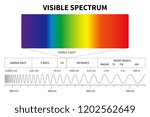 Visible Light Diagram. Color...