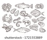 Seafood Sketch. Vintage Fish ...