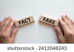 Small photo of Fact or Fake symbol. Concept word Fact or Fake on wooden blocks. Businessman hand. Beautiful white background. Business and Fact or Fake concept. Copy space