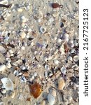 Small photo of coral and shells after the waves on the beach of Seribu Ranting Jepara Indonesia