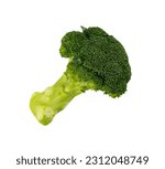 Piece of broccoli isolated....