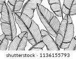 seamless banana leaf pattern... | Shutterstock .eps vector #1136155793