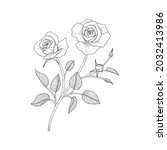 hand drawn rose floral... | Shutterstock .eps vector #2032413986