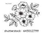 wild rose flowers drawing and... | Shutterstock .eps vector #645012799