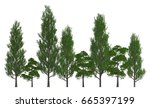 trees in a row isolated on... | Shutterstock . vector #665397199
