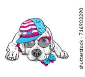Cute Puppy In A Cap And Glasses....