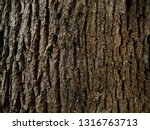 Rustic Tree Bark Texture...