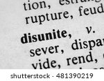 Small photo of Disunite
