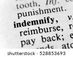 Small photo of Indemnify