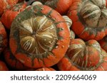 Stack Of Autumn Harvest Gourds