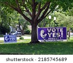 Small photo of EMPORIA, KANSAS, USA - AUGUST 2, 2022 Political campaign signs for and against the Kansas House Concurrent Resolution 5003 (Value Them Both constitutional amendment) vote in today’s primary election.