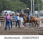 Small photo of EMPORIA, KANSAS, USA - SEPTEMBER 17, 2023 During the breakaway roping event Shylar Whiting of Paola is seen mounted on her horse while twirling her lasso as she chases the calf down the arena