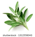 Fresh Sage Herb Isolated On...