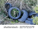 Small photo of Stagnant water in abandoned tires in the countryside where tiger mosquitoes proliferate