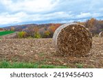 On a cloudy day, a single hay bale sits on top of a hilly field. Autumn colored trees intertwine with the rows of recently plowed corn rows.
