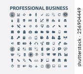 professional business ... | Shutterstock .eps vector #256904449