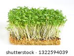 Small photo of Garden cress or mustard on white background. Healthy and benefits of fresh Garden cress.