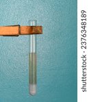 Small photo of The presence of reducing sugars is indicated by the appearance of reddish-brown precipitate in test tubes.