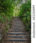 Small photo of Beautiful upgoing old stone stairway among plants in nature