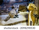 Small photo of Lacock, Chippenham, UK - December 16, 2018: Winter Wonderland display in Whitehall garden centre, near Lacock in Wiltshire, England.