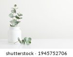 Green eucalyptus leaves in vase ...