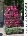 Small photo of Vertical flower bed with bright red balsamine is the decoration of the street in the city.
