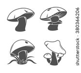 Collection Of Mushrooms. Vector ...