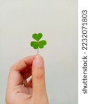 Small photo of Clover aesthetic bringer of good luck