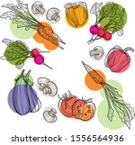 vegetable set in vector.... | Shutterstock .eps vector #1556564936