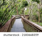 Small photo of Boardwalk under the tree canopy at Gumbo Limbo in Boca Raton, Florida
