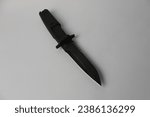 Small photo of The bayonet knife also has strong symbolism. This knife is often considered a symbol of courage, strength, and patriotism.