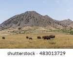 Bear Butte With Buffalo