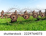rake hay turner. field work. farm