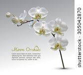 Moon Orchid Flower Vector On...