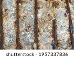 Small photo of Steel corrosion in reinforced concrete. Reinforced concrete with damaged and rusty steel bar in marine and other chloride environments. Degraded concrete and corrosion of reinforcement bars