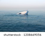 Sinking Modern Large White Boat ...
