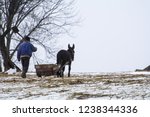 Small photo of Magura, Brasov / Romania - December 5th 2014: In mountain rural areas of Romania, isolated villages are populated by elders who depend on own resources to support their livelihood.