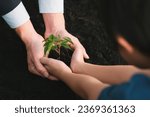 Small photo of Businessman grow and nurture plant on fertilized soil with young boy as eco company committed to corporate social responsible, reduce CO2 emission and embrace ESG principle for sustainable future.Gyre