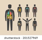 human body organs | Shutterstock .eps vector #201527969