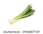 Fresh green onion or scallions or spring onion, organic vegetable tasty a bit spicies , decorate in a soup use often in asia's kitchen  with solated white background and clipping path