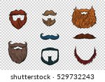 stylish beard and moustache set ...