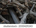 Beautifully stacked pile of felled wood from large trees
