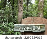 
Saryeoni Forest Trail sign in Jeju Island