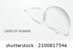liver of human anatomy... | Shutterstock .eps vector #2100817546