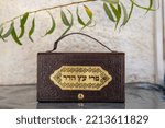 Small photo of Translation to the golden latter: "Tree fruit and citrus" Box of etrog etrog - esrog in silver box Brown leather box for (The four species): Etrog