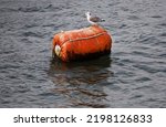 A Seagull Resting On A Red Buoy