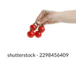 Female hand hold cherry tomato, isolated on white background